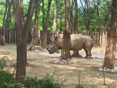 -北京野生动物园