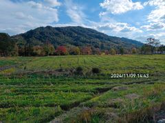 -塔川景区