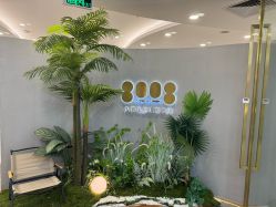 点击看大图 -八佰伴8008星级形象店