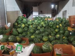 -曼阁市场水果批发市场