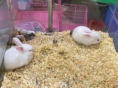 -正佳雨林生态植物园