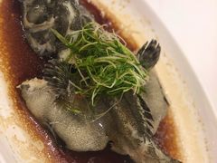 清蒸石斑鱼-御彩酒家(东风东路店)
