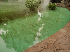 -静安公园(静安寺街道)