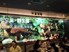 -野·大山里野生菌石锅土鸡(益田假日店)