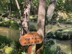-茅兰沟国家森林公园
