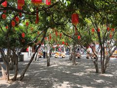 -翠湖公园