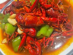 -杨氏青龙虾·羊蝎子(托乐嘉店)