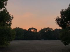 -上海共青森林公园