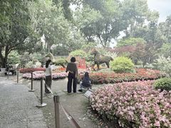 -上海醉白池公园