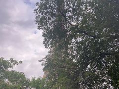 -埃菲尔铁塔