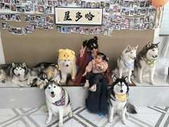 -星多哈·狗咖·拼豆·咖啡