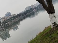-眉山湿地公园(东坡区)