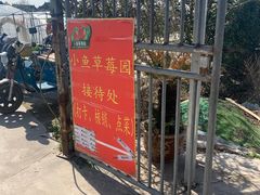 -小鱼草莓采摘园农家乐·小鱼餐厅
