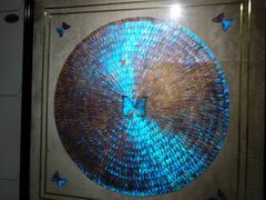 -上海昆虫博物馆