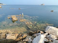 -养马岛旅游度假区