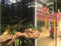 -南宫五洲植物乐园