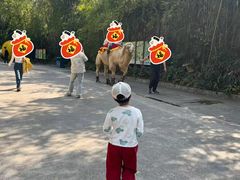 -深圳野生动物园