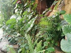 -园林美食城·本土农家菜(杨和镇店)