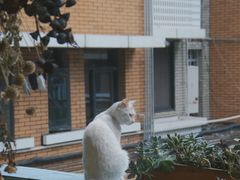 -知物癖(牛王庙店)