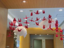 -杭州贝瑞斯美华妇儿医院·早孕·产检·儿科