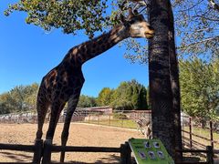 -大连森林动物园