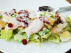 经典凯撒沙拉-EN SPACE恩空间