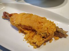 -人杰鱼乐轩(珠江路店)