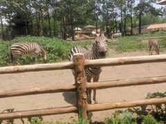 -大连森林动物园