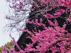 -西安市广仁寺