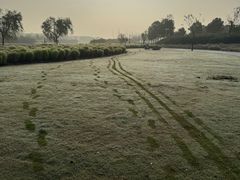 -春花秋色城市公园