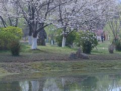 -堤角公园