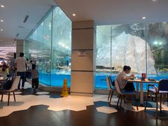 -帝企鹅自助餐厅•儿童岛•真企鹅(长隆企鹅酒店)