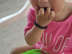 -金谷域澳洲庄园