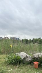 点击看大图 -同远超级童星亲子摄影(环球中心店)