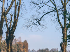 -东湖听涛景区