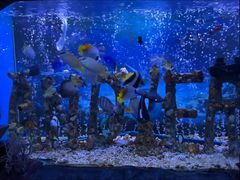 -太平洋海底世界