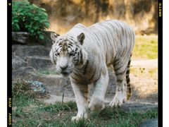 -杭州野生动物世界