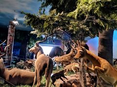 -国家自然博物馆