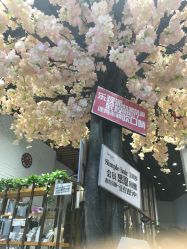-简影造型·自选烫染接发salon