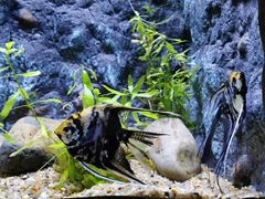 -上海海洋水族馆