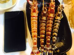 -鲜入围煮花胶鸡海鲜火锅