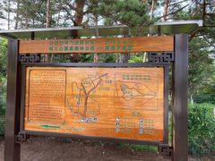 -帽儿山国家森林公园