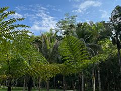-中国科学院西双版纳热带植物园