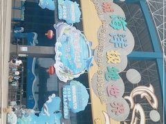 -泉城欧乐堡海洋极地世界