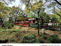 -上海共青森林公园