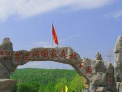 -茅兰沟国家森林公园