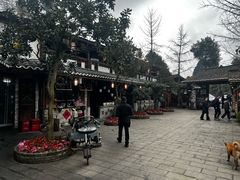 -青城甲(青城山店)