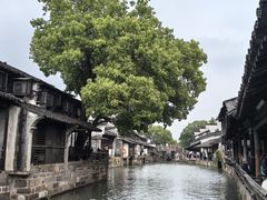 -乌镇东栅景区