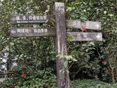 -南山植物园