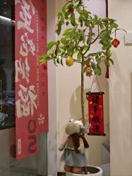 -可樱汇·美容洗发SPA